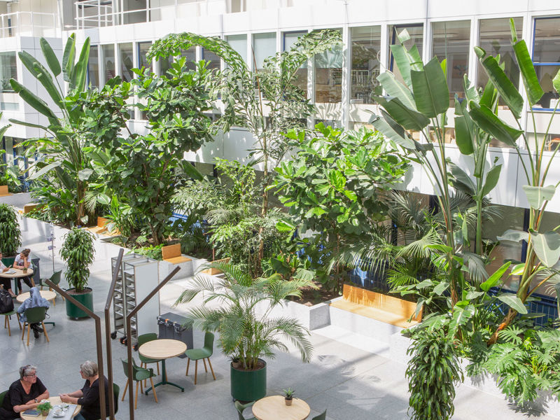 Dijklander Ziekenhuis Purmerend (11)