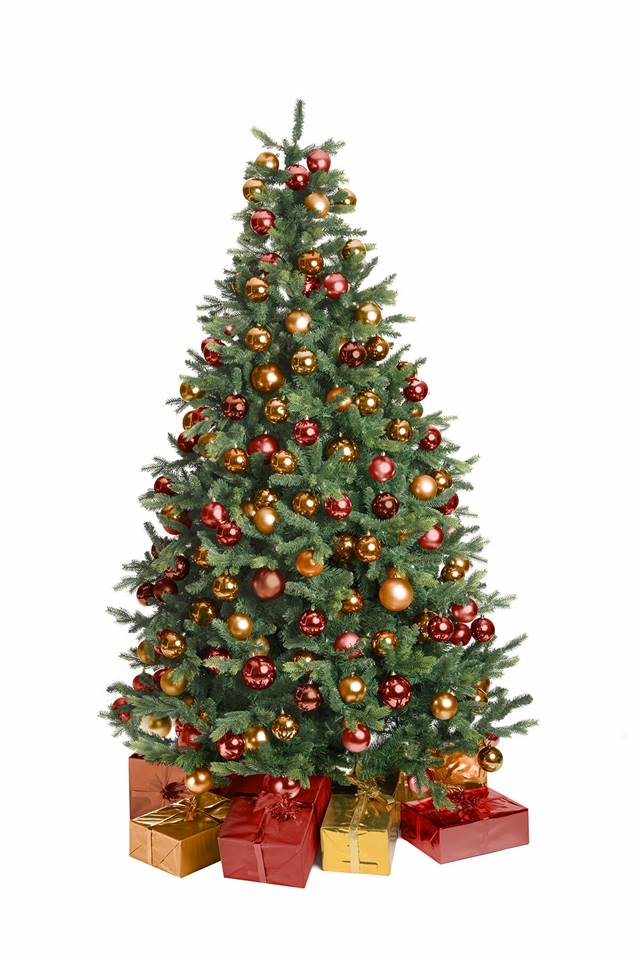  UITVERKOCHT | Kerstboom Agaat (150 - 800 cm) Image