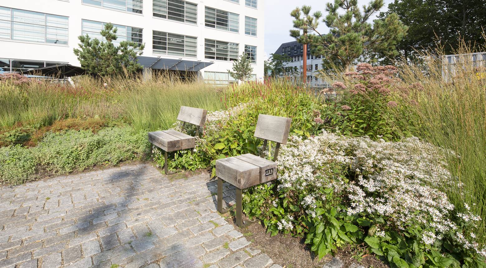 Project Clausplein - Donker Design - Een klimaatbestendig stadspark waar het fijn verblijven is