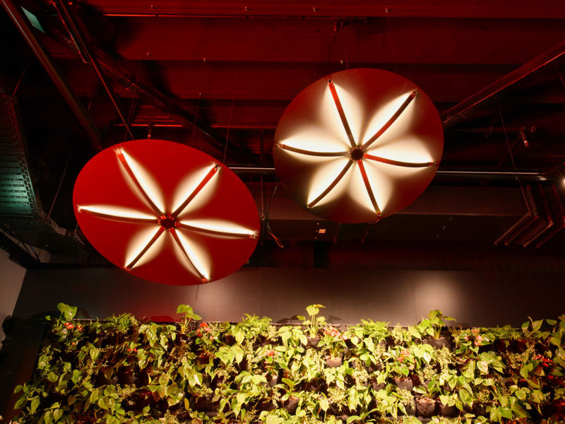 Floriworld Aalsmeer (79)