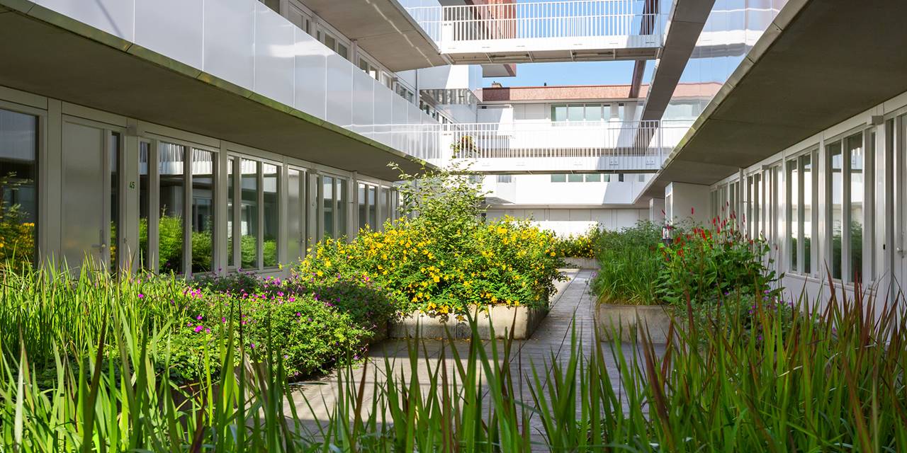 Laurentius wonen, Breda - Op basis van beeldkwaliteit verzorgen wij het groen van de buitenruimte van 65 appartementencomplexen, zorgcomplexen en aanleunwoningen