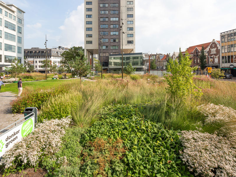 Clausplein Eindhoven (89)