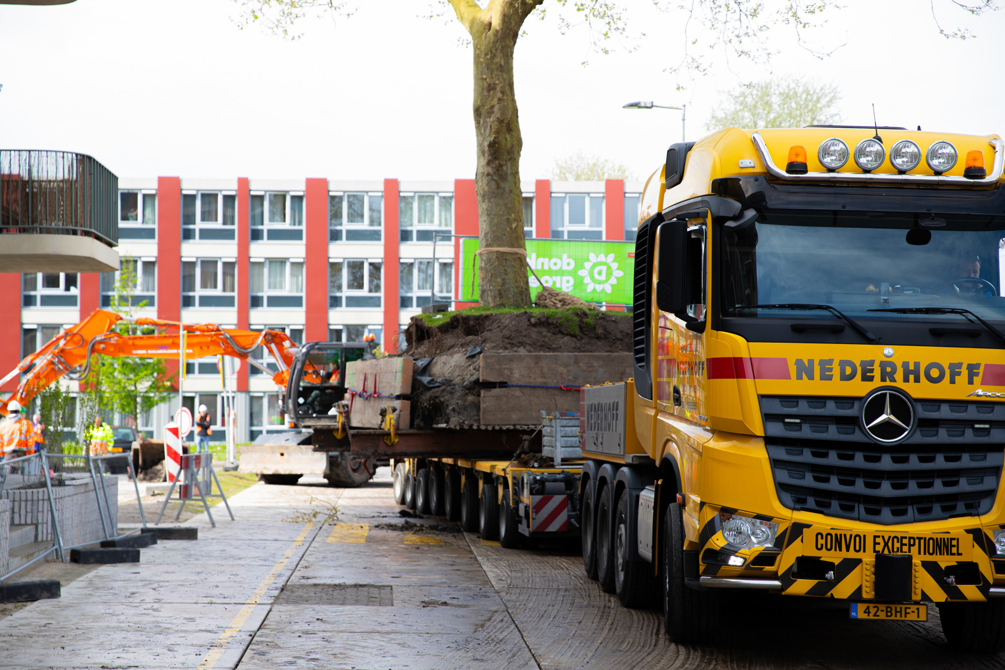 medewerkers van donker groen inspecteren bodem tijdens boomverplanting