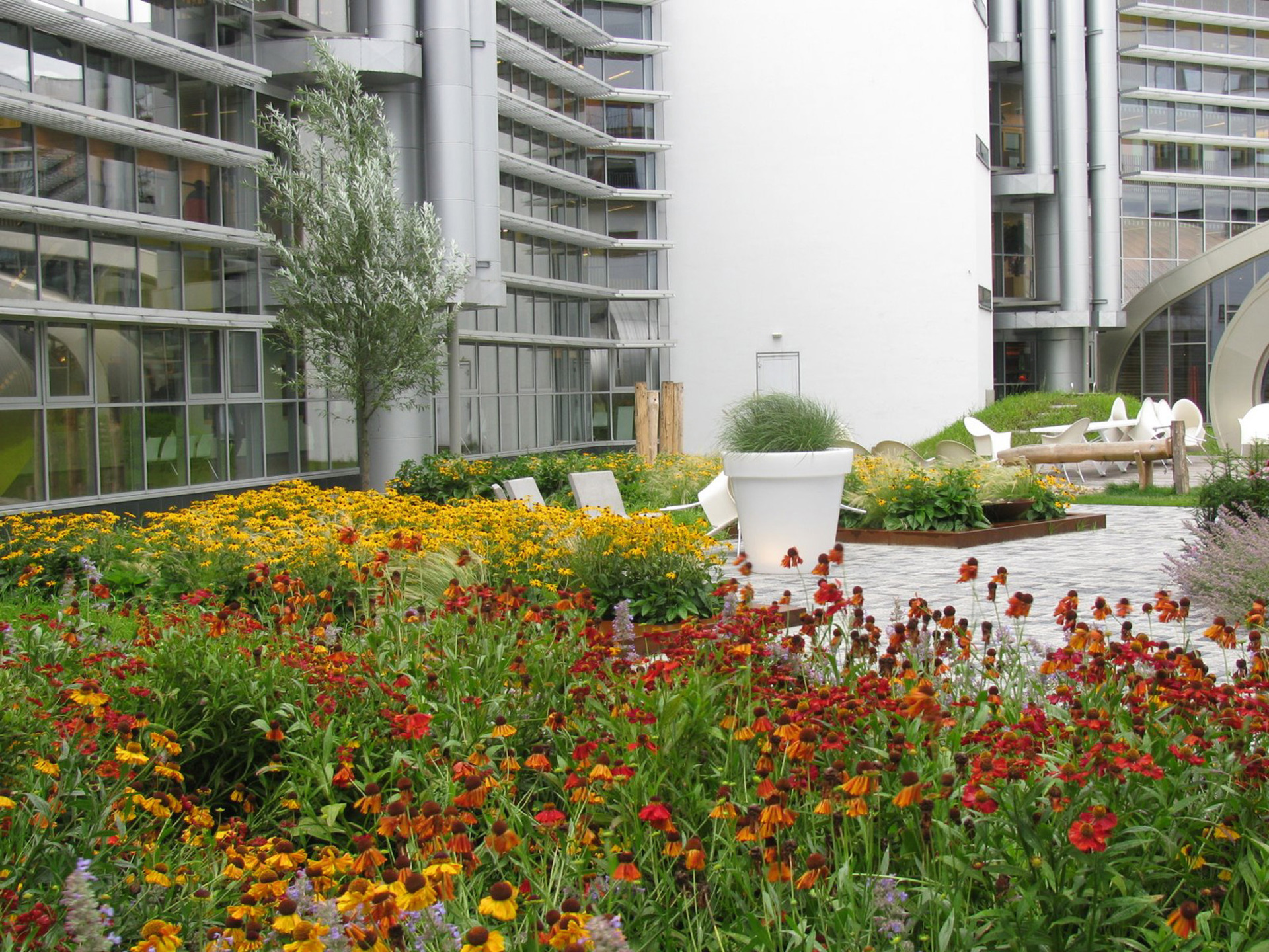 Martini Ziekenhuis (6)