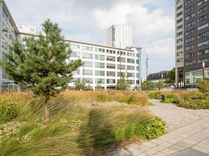 Clausplein Eindhoven (80)