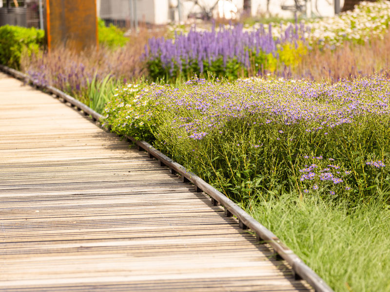 Kaasteelpark Coevorden (54)