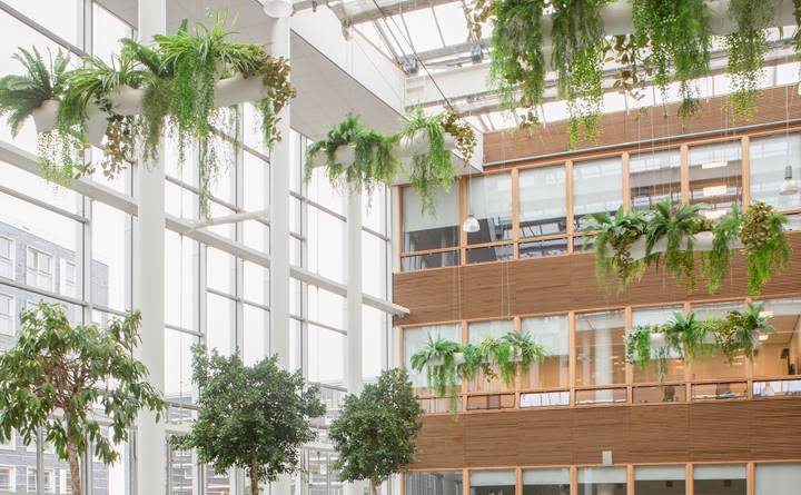 planten in het onderwijs in Amsterdam