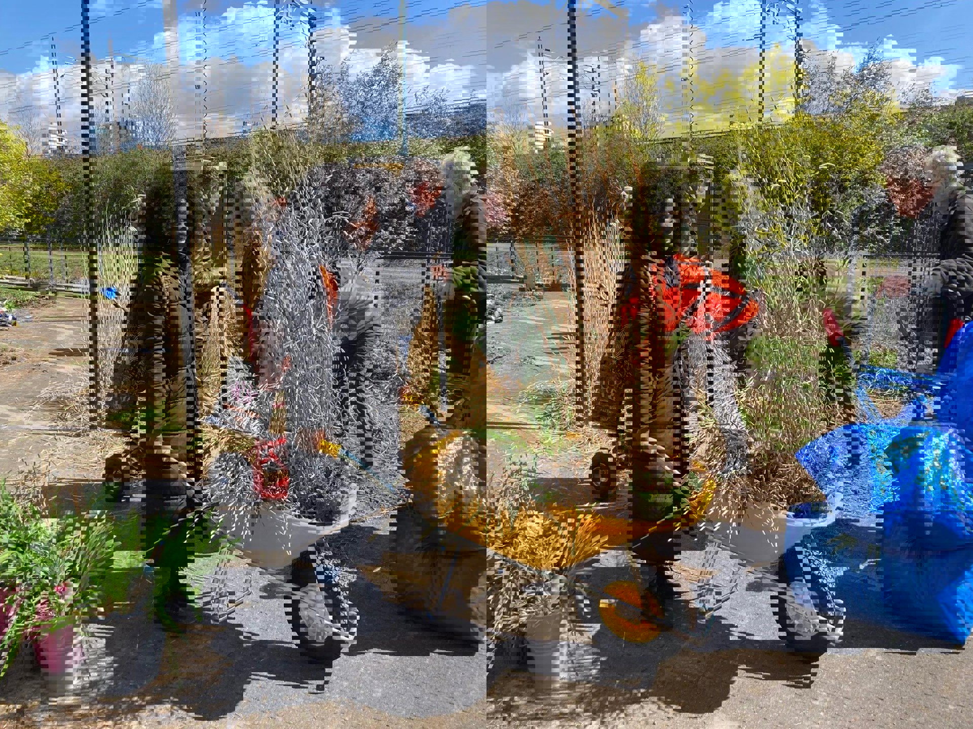 Struikroven (4)