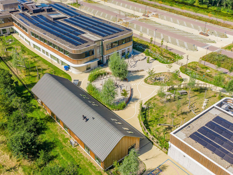 medewerker van donker groen bereid boom voor op verplanting