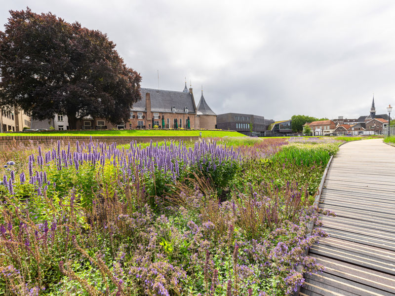 Kaasteelpark Coevorden (35)