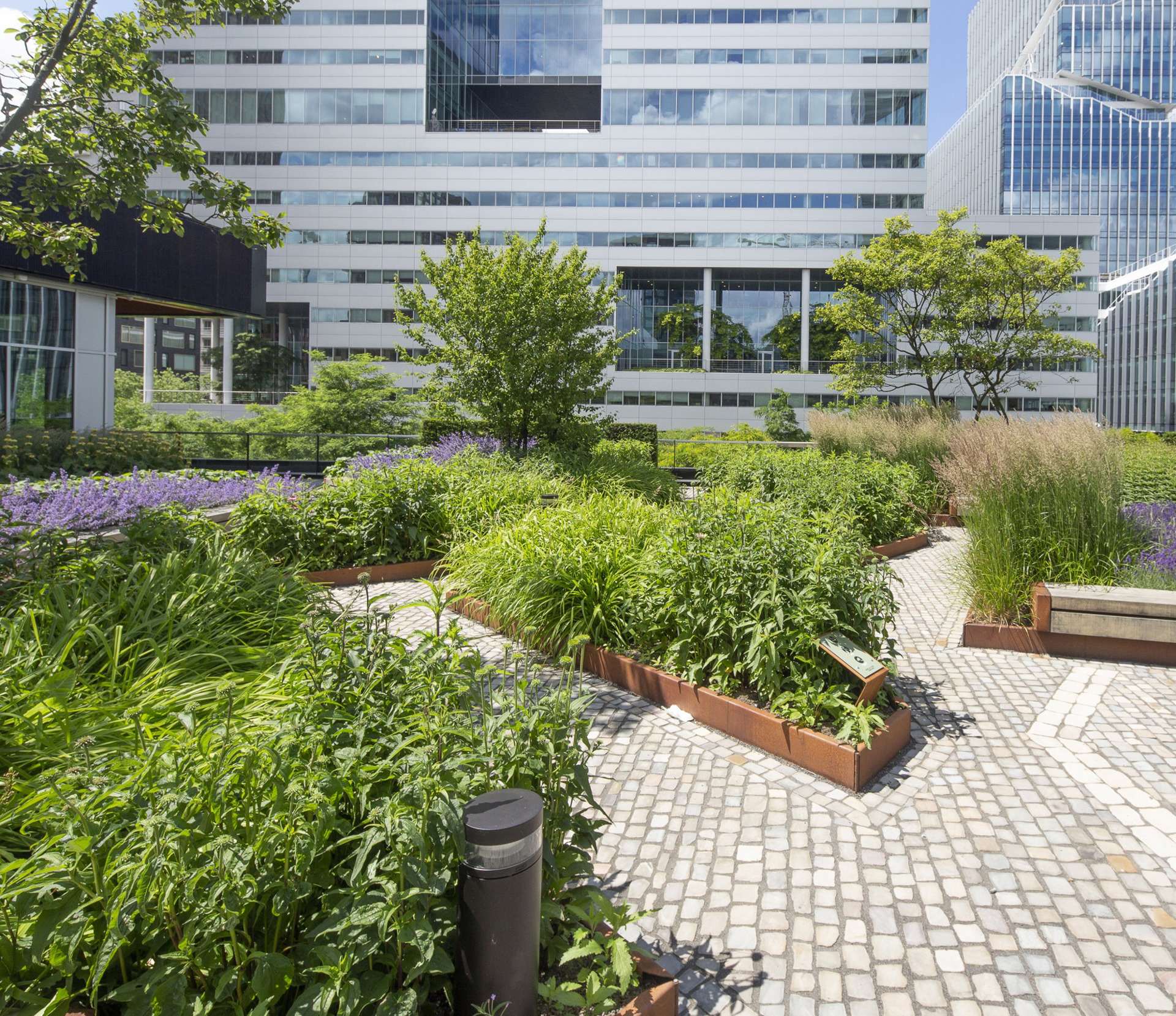 Circl ABN AMRO Amsterdam (18)