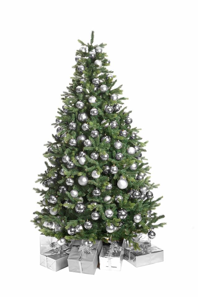 Kerstboom Silver Image