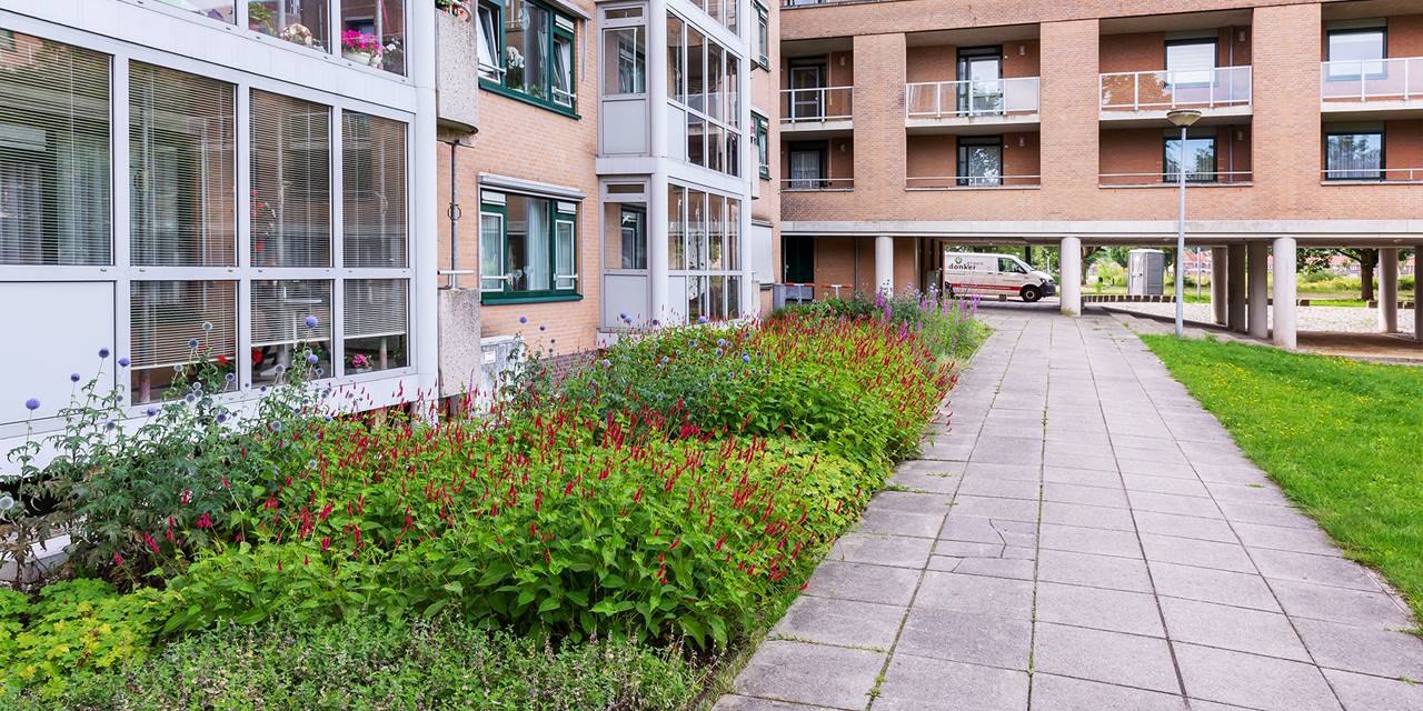 Groenonderhoud - Wij onderhouden de buitenruimte van verschillende locaties voor woningcorporatie Laurentius Wonen