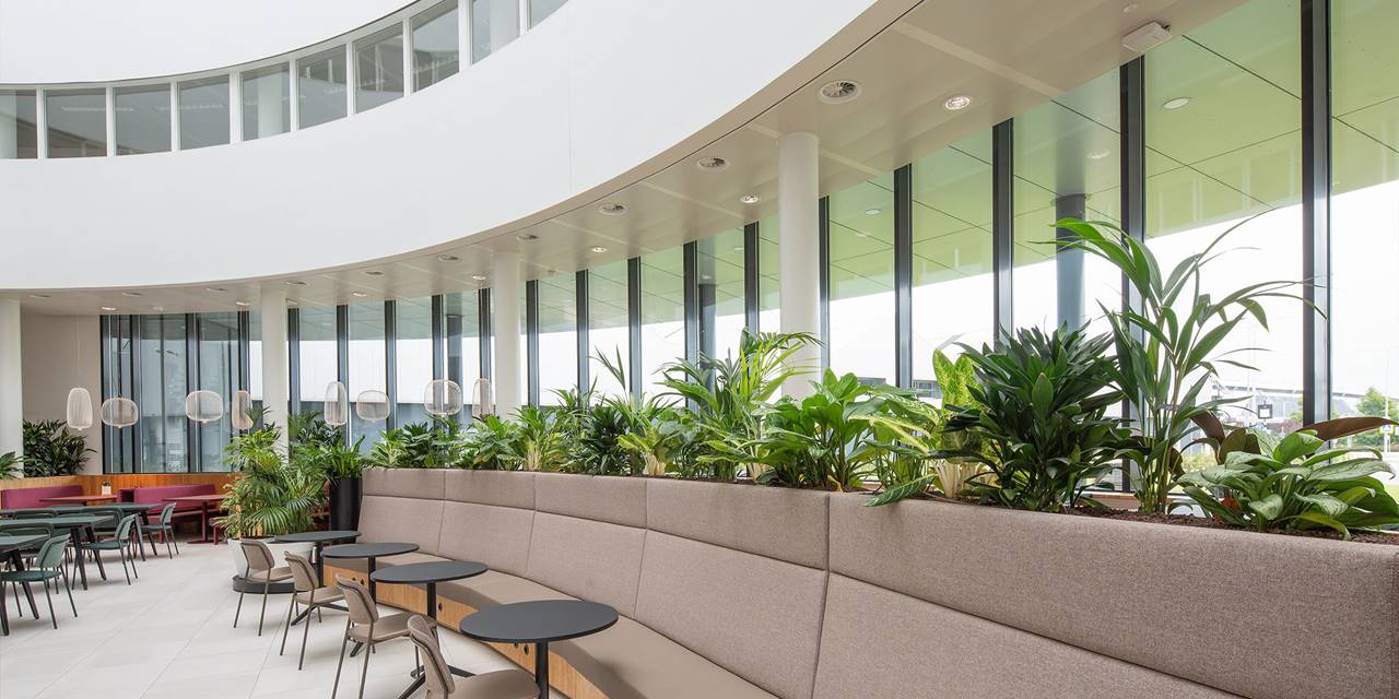 Binnenbeplanting - In samenwerking met de architect van Royal Floraholland in Aalsmeer hebben we beplanting aangelegd die de architectonische lijnen van het gebouw volgen.