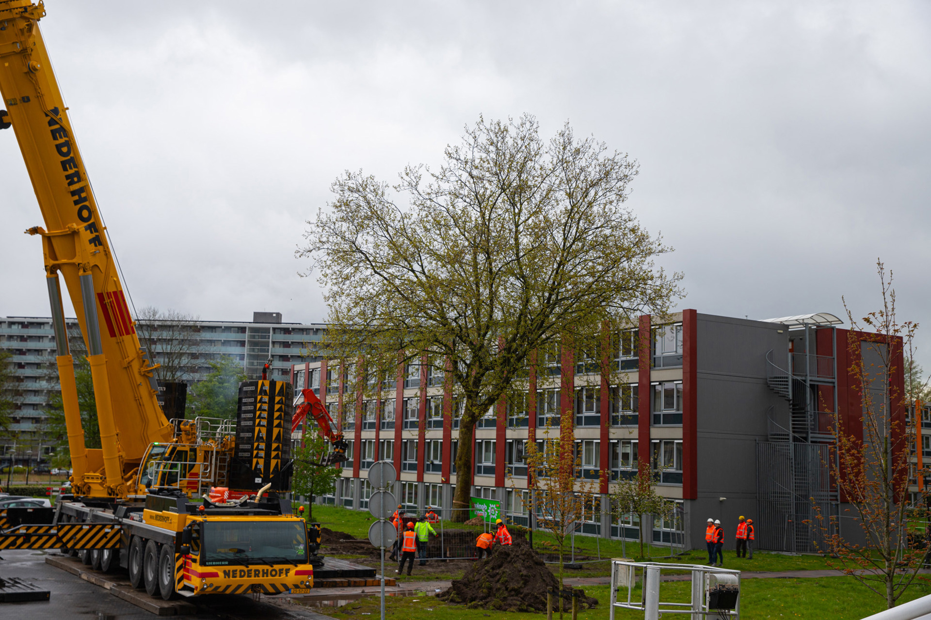 Boomverplanting (38)