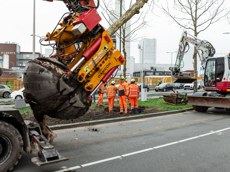 boomverplanting machine rijdt met boom over snelweg in utrecht