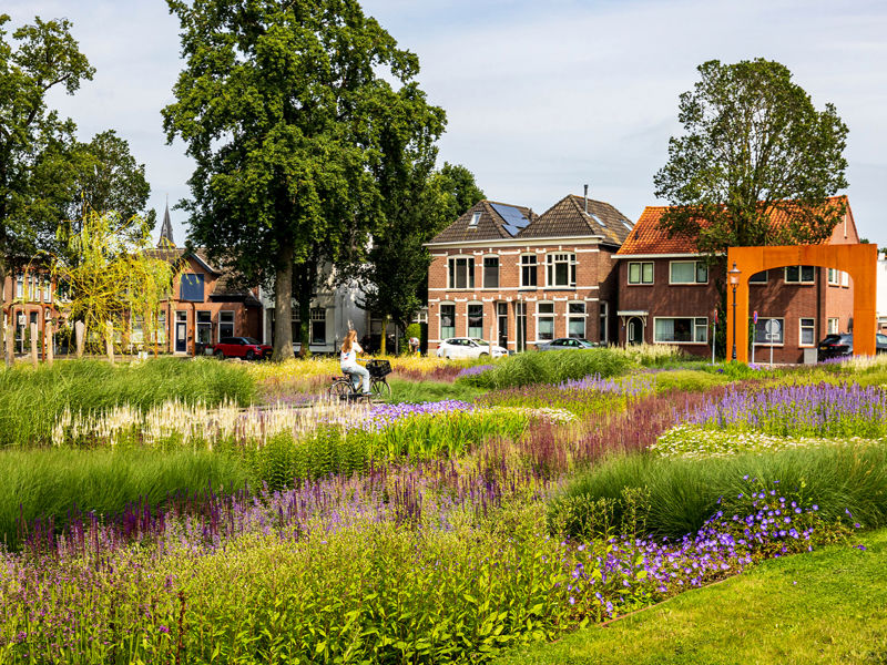 Kaasteelpark Coevorden Aug 2024 (47)