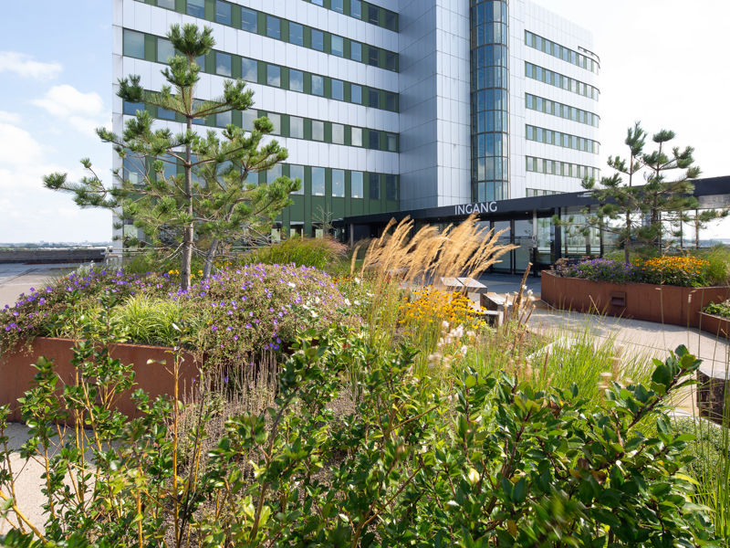 Royal Floraholland Naaldwijk (10)