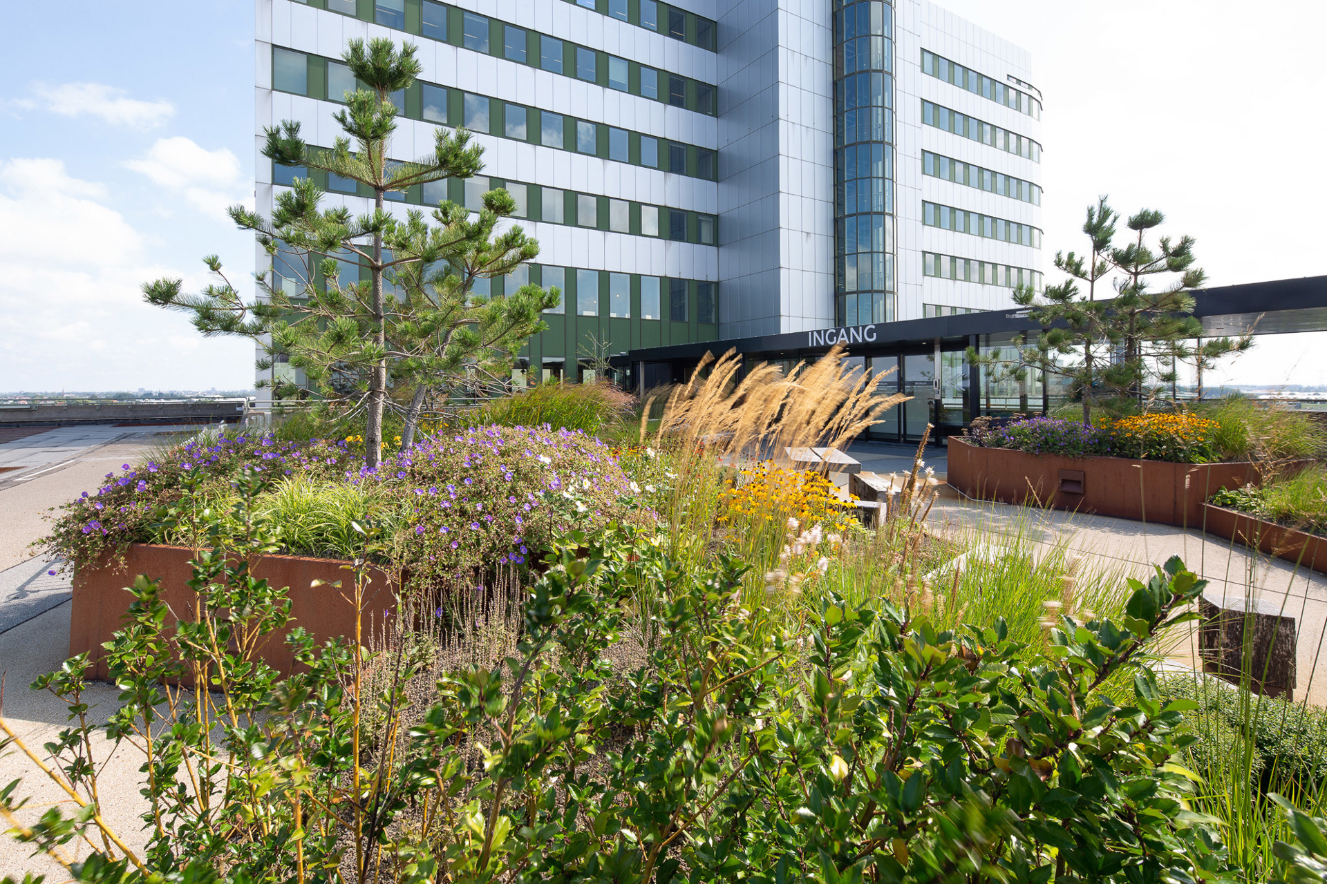 Royal Floraholland Naaldwijk (10)