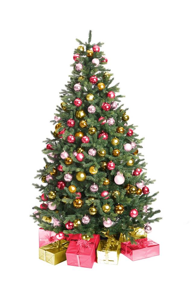 Kerstboom Toermalijn (210 - 500 cm) Image