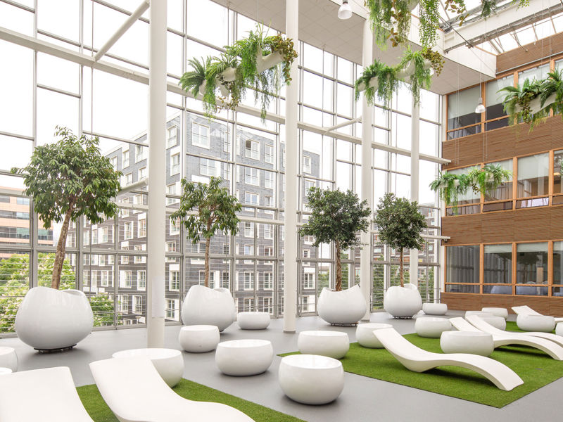 Hogeschool Amsterdam Fraijlemaborg (7)