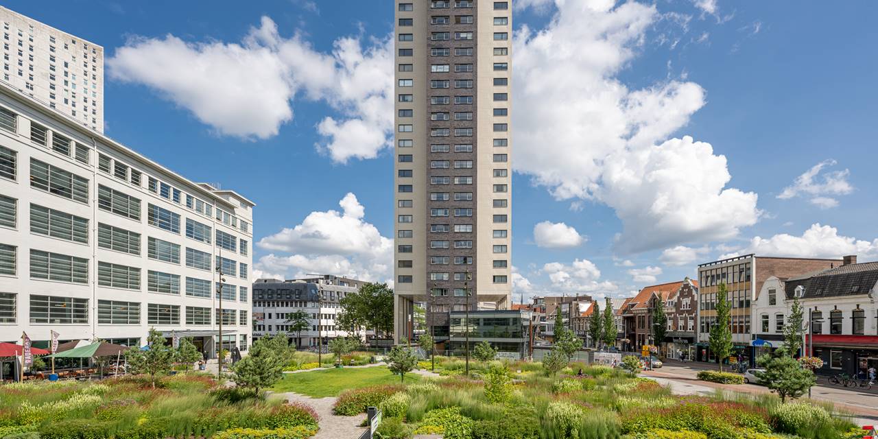 Clausplein, Eindhoven - een groen, stedelijk plein die is aangelegd met een combinatie onze verschillende substraten.