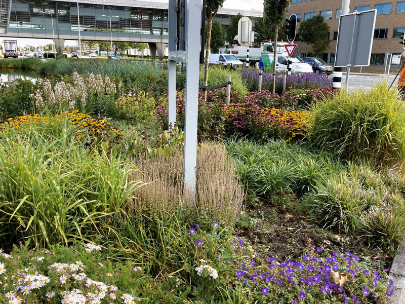 Royal Floraholland Aanleg (2)