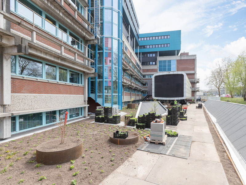 UMC Amsterdam (70)