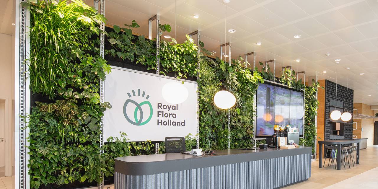 Royal FloraHolland, Aalsmeer - Binnenbeplanting zorgt voor groen op het kantoor!