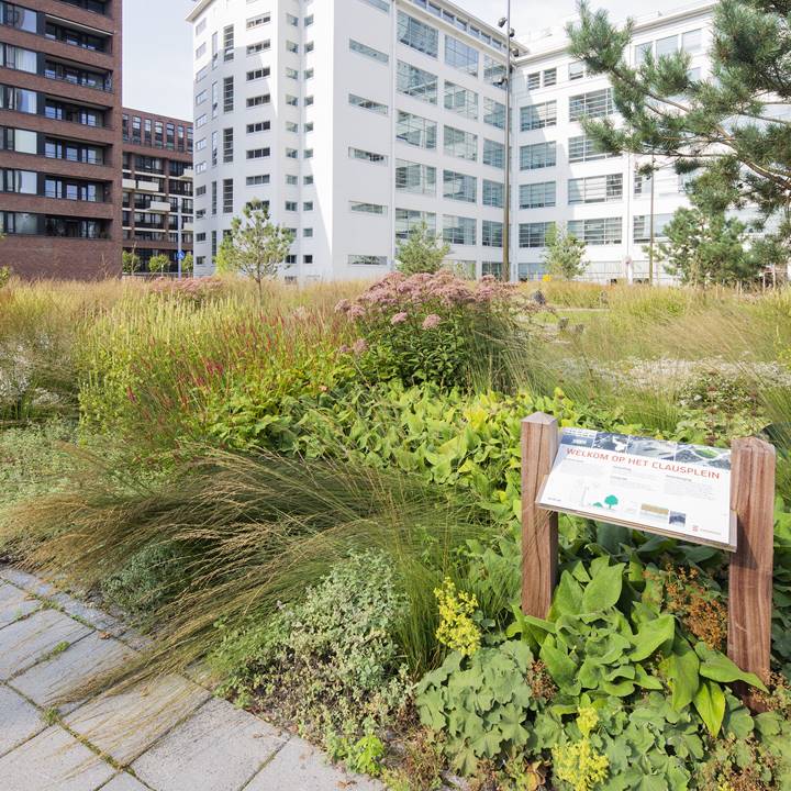 Donker verzorgt het onderhoud van deze openbare ruimte in Eindhoven