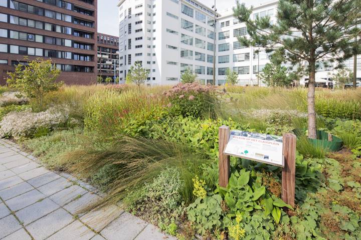 Donker verzorgt het onderhoud van deze openbare ruimte in Eindhoven
