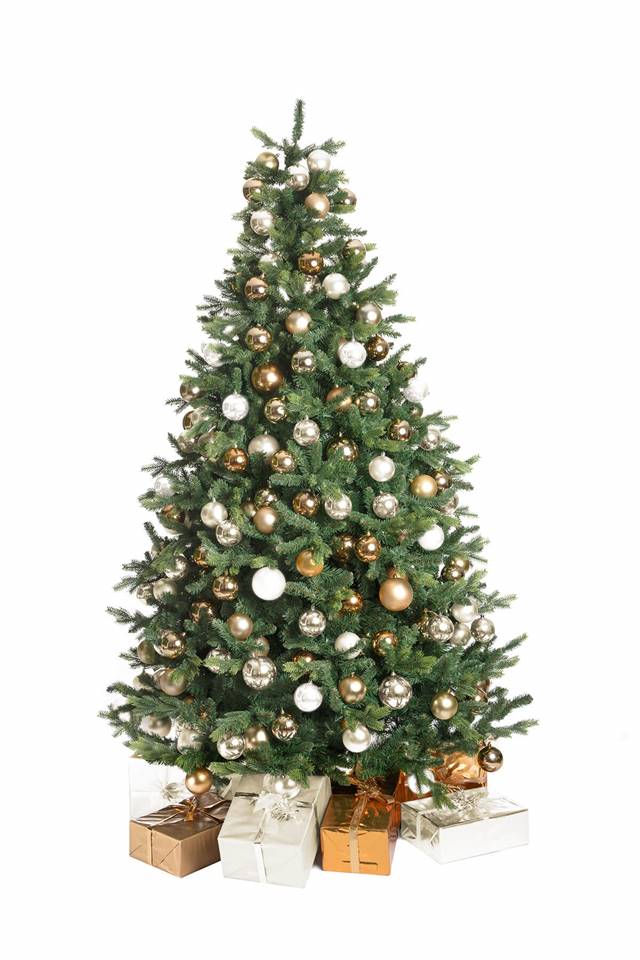 Kerstboom Tijgeroog (210 - 500 cm) Image