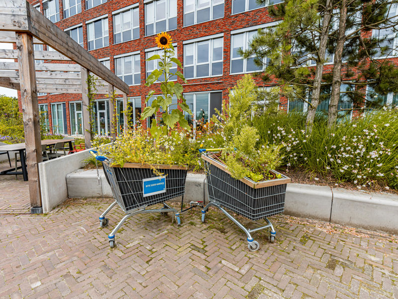 LIDL Huizen (5)