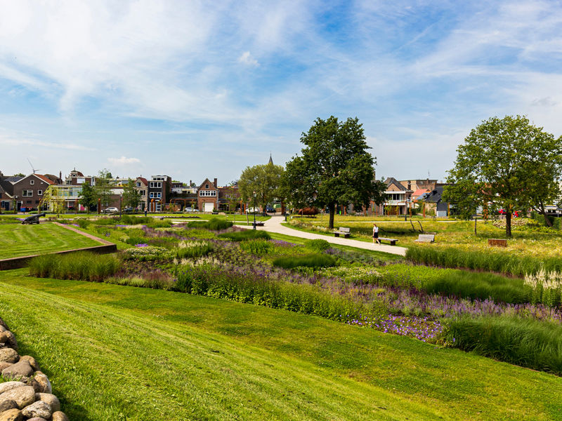 Kaasteelpark Coevorden Aug 2024 (54)