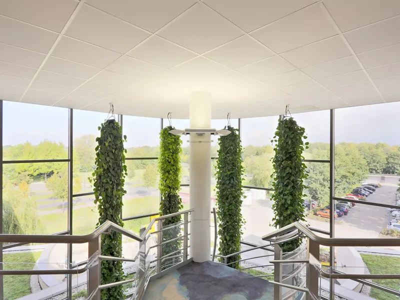 Green Fortune Project Waterschap Zuiderzeeland 10